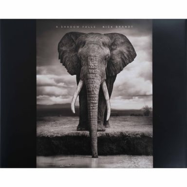 Find a copy of the Photobook – Nick Brandt – A Shadow Falls – Signed Limited Edition