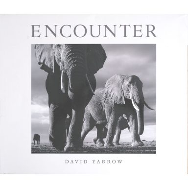 Discover photobook Encounter by David Yarrow for sale in UK
